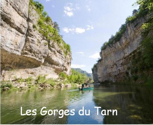 Chambre Au Calme Avec Spa Privatif Gratuit Sud Aveyron Les Palmiers Des Causses Saint-Rome-de-Tarn エクステリア 写真