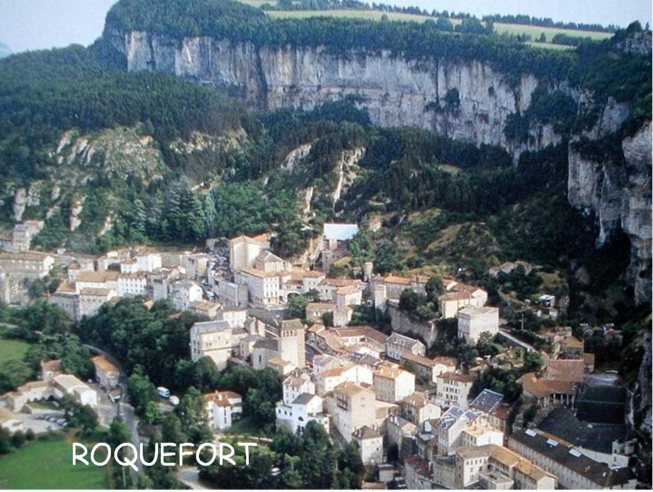Chambre Au Calme Avec Spa Privatif Gratuit Sud Aveyron Les Palmiers Des Causses Saint-Rome-de-Tarn エクステリア 写真